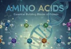 aminoacids
