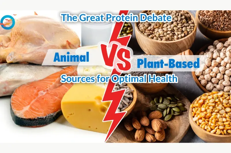 best animal-based protein sources