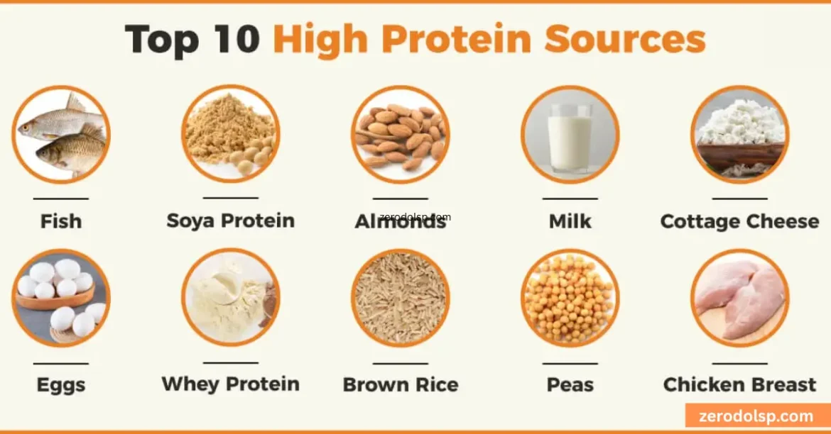 high protein foods best sources & health benefits