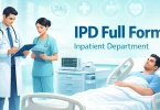 ipd full form