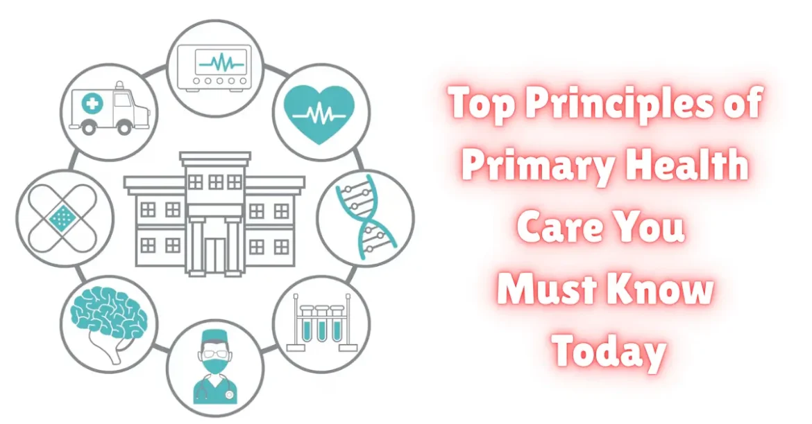 top principles of primary health care