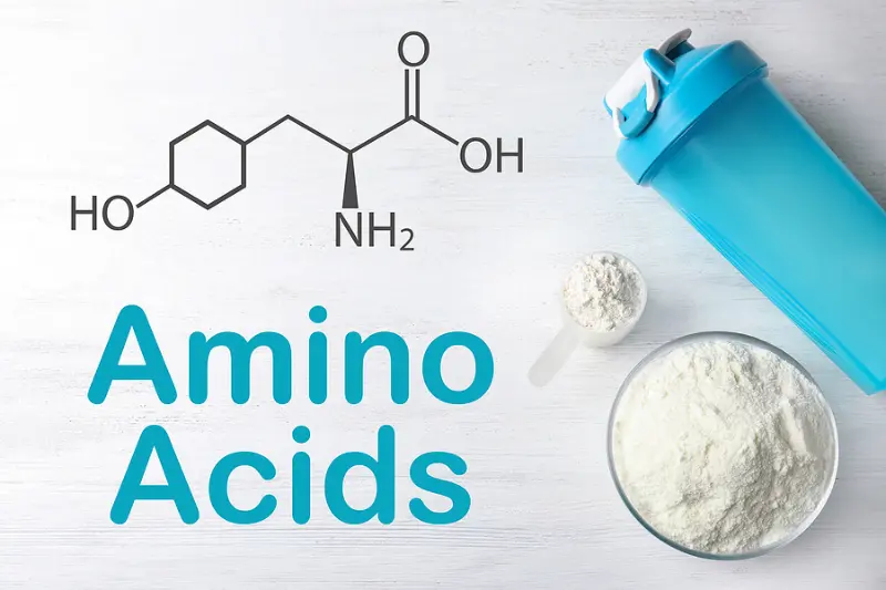 what are amino acids