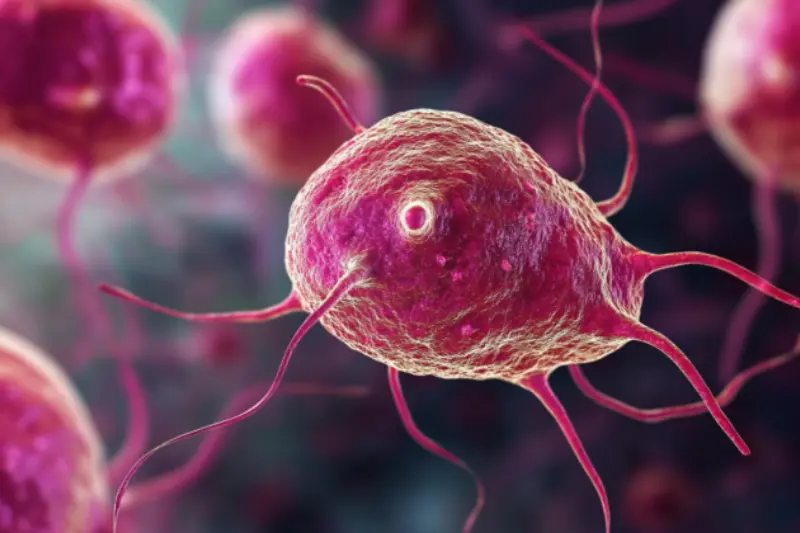 what is trichomonas vaginalis